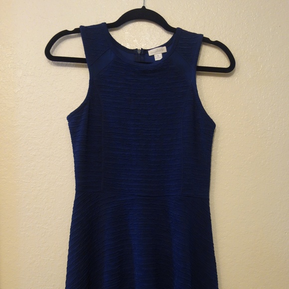 Charming Charlie : Lara Fit and Flare blue dress - Picture 2 of 8